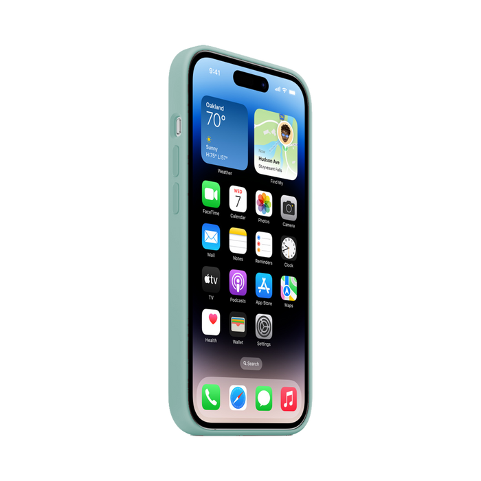 iPhone Silicone Case - Papermint